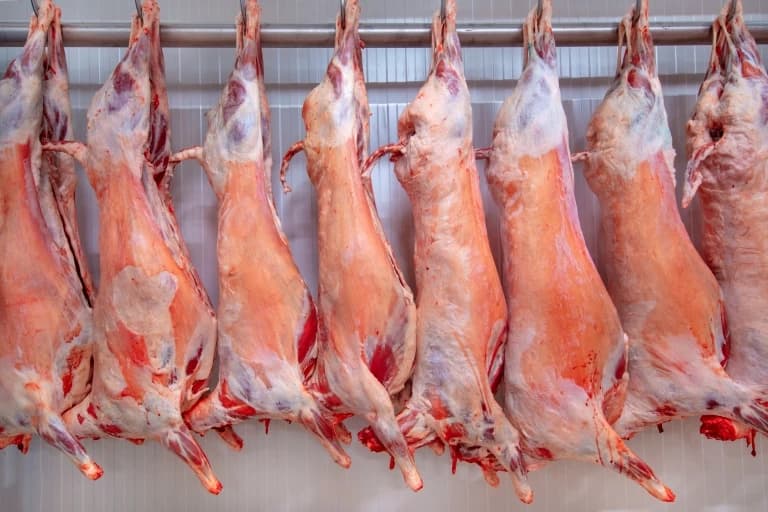 Australian Lamb & Meat Products